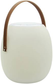 Megatron draagbare luidspreker Spika met RGB-W wit, bruin