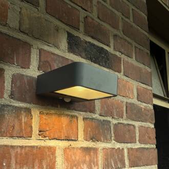 Megatron Wandia LED-zonne-wandlamp, sensor antraciet