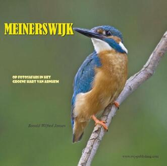 Meinerswijk - Boek Ronald Wilfred Jansen (9490482056)