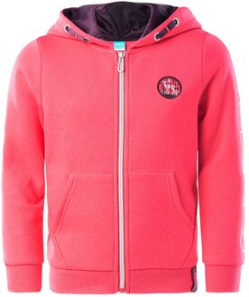 Meisjes ashira full zip hoodie Roze - 110