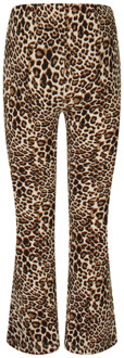meisjes broek Bruin - 152-158