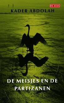 Meisjes en de partizanen - eBook Kader Abdolah (904452934X)