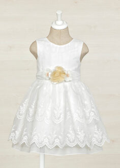 Meisjes jurk organza borduursel - Wit - Maat 116