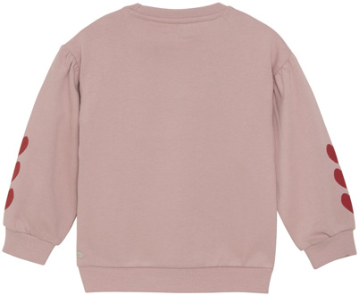 meisjes sweater Mauve - 134