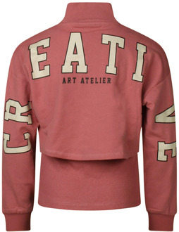 meisjes sweater Mauve - 152-158