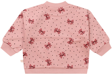 meisjes sweater Rose - 62
