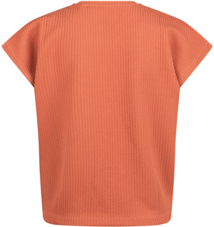 meisjes t-shirt Terra - 140-146