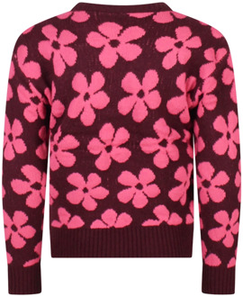 meisjes trui Grape - 152-158