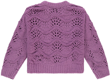 meisjes trui Paars - 128