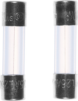 Meister Glaszekering 1,25A F 2 St W - WU7446000