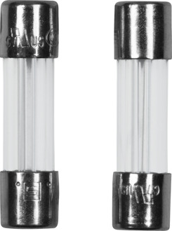 Meister Glaszekering 2,0 A T 2 St W - WU7446130