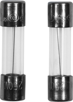 Meister Glaszekering 2,5 A F 2 St W - WU7446030