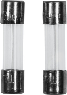 Meister Glaszekering 2,5 A T 2 St W - WU7446140