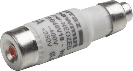 Meister Zekering D01/E14 16A Traag 10St W - WU7446440