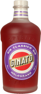 Melograno Pomegranate & Barbera Grape 70CL