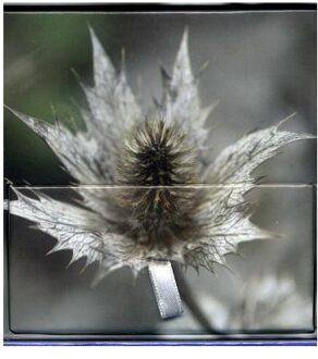 Memo Block Winter Flower