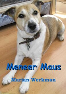 Meneer Maus - Boek Marian Werkman (9085701627)