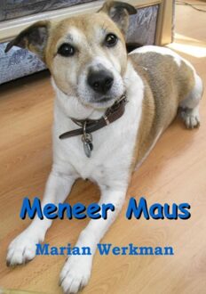Meneer maus - eBook Marian Werkman (9085709385)