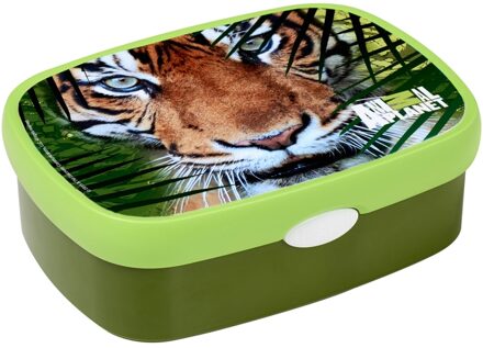 Mepal Animal Planet lunchbox tijger