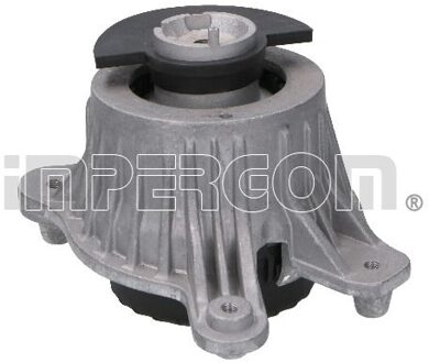 Mercedes Benz Aslichaam-/motorsteunlager 36089