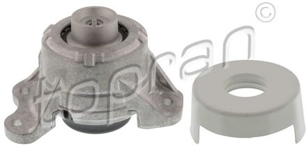 Mercedes Benz Aslichaam-/motorsteunlager 410171