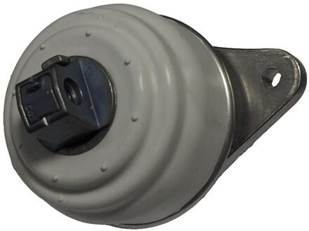 Mercedes Benz Aslichaam-/motorsteunlager 49117579