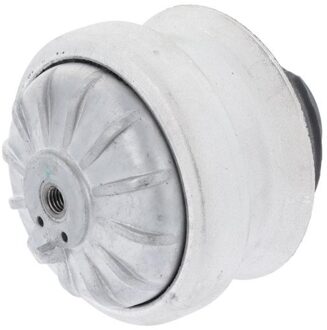 Mercedes Benz Aslichaam-/motorsteunlager 601411