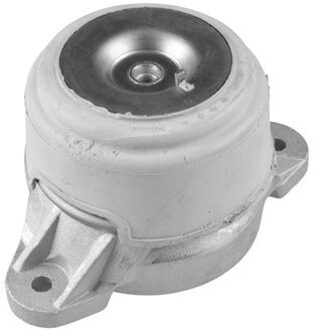 Mercedes Benz Aslichaam-/motorsteunlager TED23591