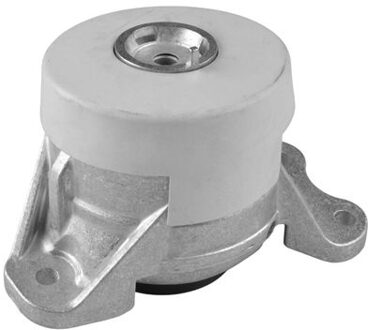 Mercedes Benz Aslichaam-/motorsteunlager TED93160