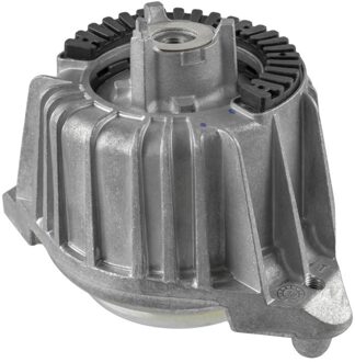 Mercedes Benz Aslichaam-/motorsteunlager