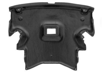 Mercedes Benz Bescherming Onder Motor