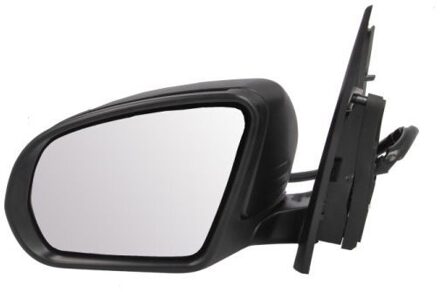 Mercedes Benz Buitenspiegel 5402022299314P