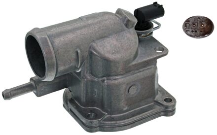 Mercedes Benz Inlaatklep