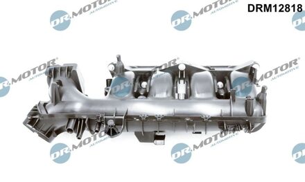 Mercedes Benz Inlaatspruitstuk DRM12818