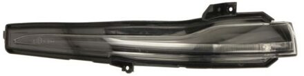 Mercedes Benz Knipperlicht 5403020872105P