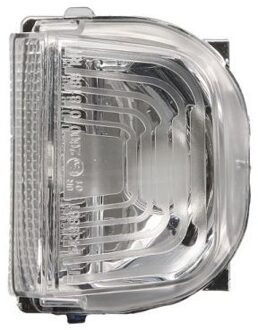 Mercedes Benz Knipperlicht 540302354106P