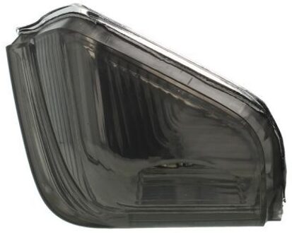 Mercedes Benz Knipperlicht 54030310011S