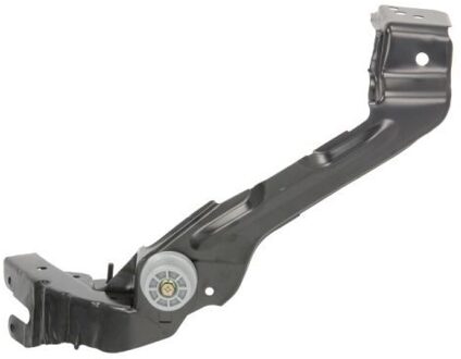 Mercedes Benz Koplamphouder 6508053528247P