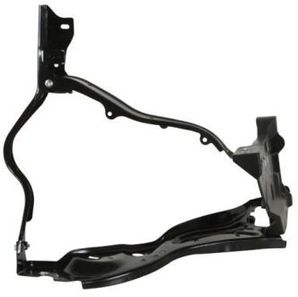 Mercedes Benz Koplamphouder 6508053529242P