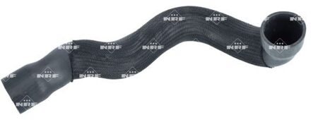 Mercedes Benz Laadluchtslang 166358