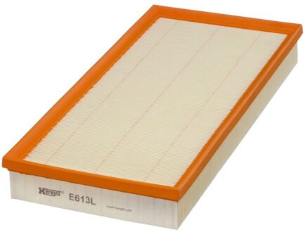 Mercedes Benz Luchtfilter E613L