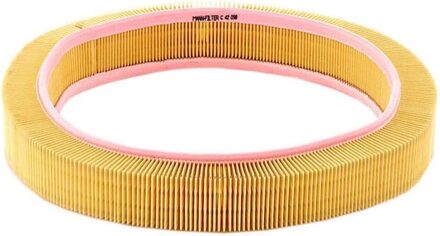 Mercedes Benz Luchtfilter