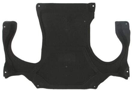 Mercedes Benz Motor-/Veiligheidsbumper 6601023529863P