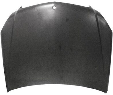 Mercedes Benz Motorkap 1672101