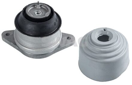 Mercedes Benz motorsteun 10929968