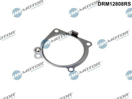 Mercedes Benz Pakking, inlaatspruitstuk DRM12808RS