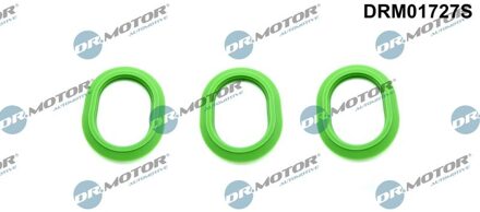 Mercedes Benz Pakkingset, inlaatspruitstuk DRM01727S