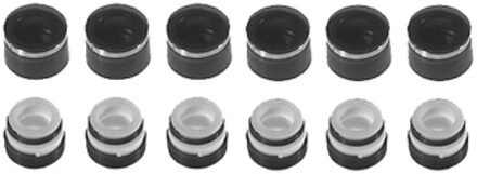 Mercedes Benz Pakkingsset klepsteel