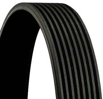 Mercedes Benz Poly V-riem 8PK1646