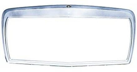 Mercedes Benz Radiateurgrille inzet 1640041